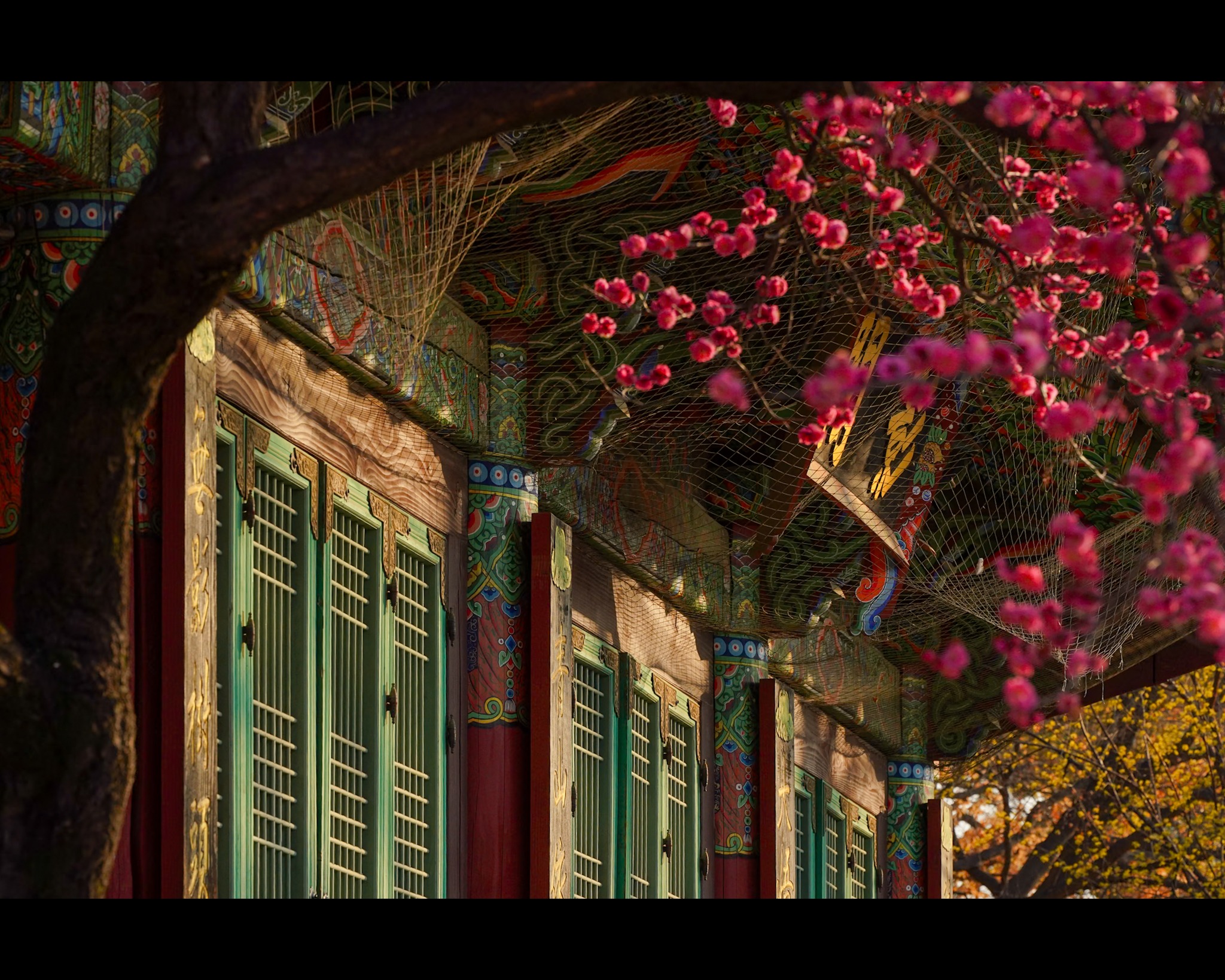 Community shared photo